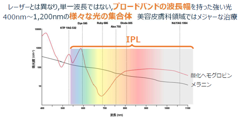 フォトフェイシャル（IPL治療）｜田中眼科